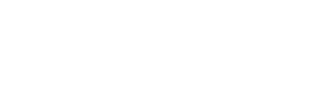 CarSoup Logo